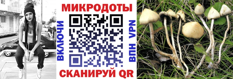 мега как войти  Мещовск  Галлюциногенные грибы прущие грибы  купить  