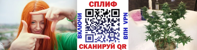 закладки  Мещовск  Каннабис Amnesia 